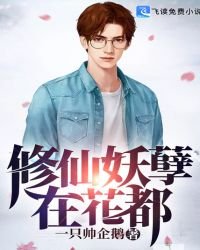 重生豪门废婿